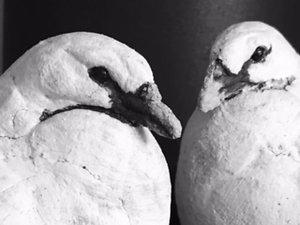 About Relationship Therapy. Doves